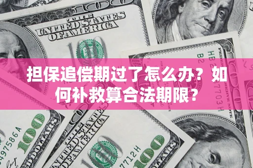 北京担保追偿期过了怎么办？如何补救算合法期限？