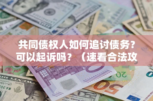 北京共同债权人如何追讨债务？可以起诉吗？（速看合法攻略）
